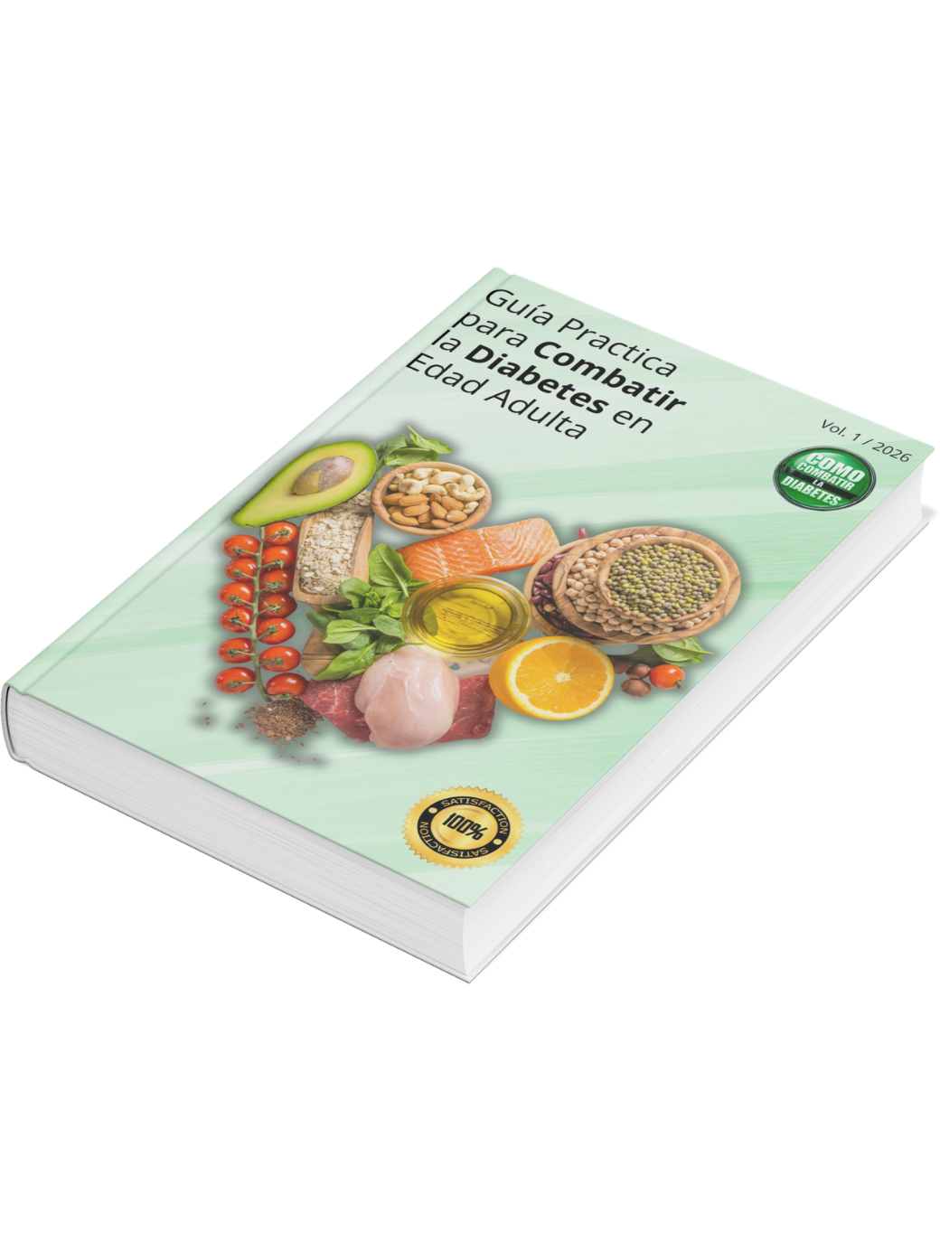 Ebook Guía Práctica para Combatir la Diabetes en Adultos - Descarga Gratis